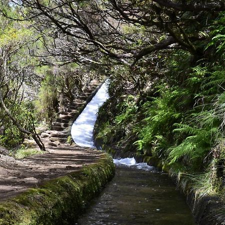 דירות פונשל Casas Do Forte Do Pico מראה חיצוני תמונה